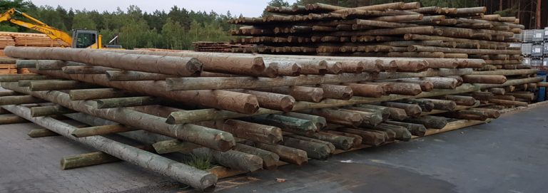 Pine Electrical Poles Timber From Poland with vacuum pressure impregnation treatment British Standard