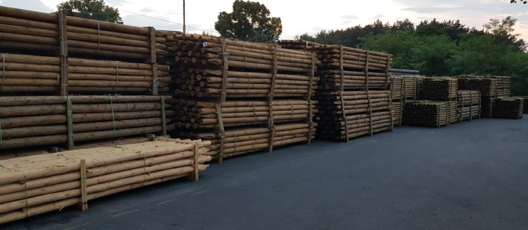 Pine Electrical Poles Timber From Poland with vacuum pressure impregnation treatment British Standard