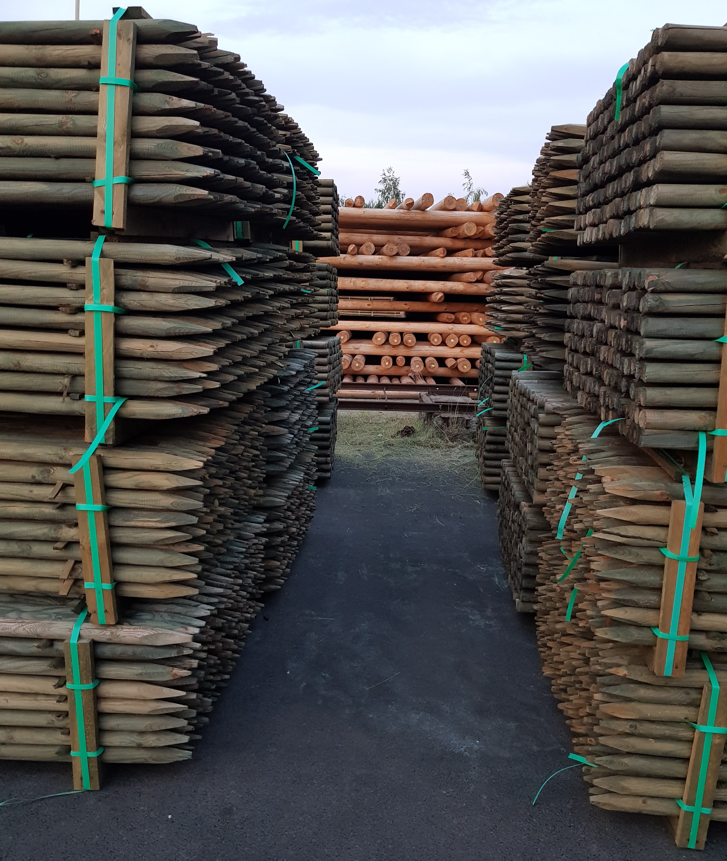Pine Electrical Poles Timber From Poland with vacuum pressure impregnation treatment British Standard