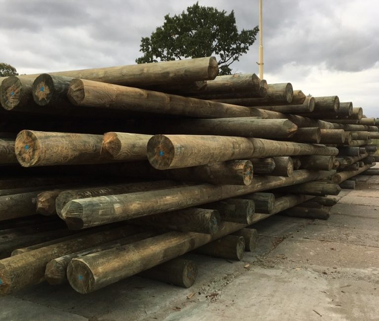 Pine Electrical Poles Timber From Poland with vacuum pressure impregnation treatment British Standard