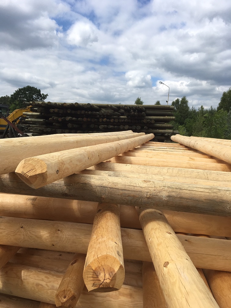 Pine Electrical Poles Timber From Poland with vacuum pressure impregnation treatment British Standard